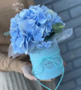 Цветы в коробке 'Гортензия голубая'