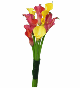 Комплимент с каллами – Интернет-магазин цветов STUDIO Flores