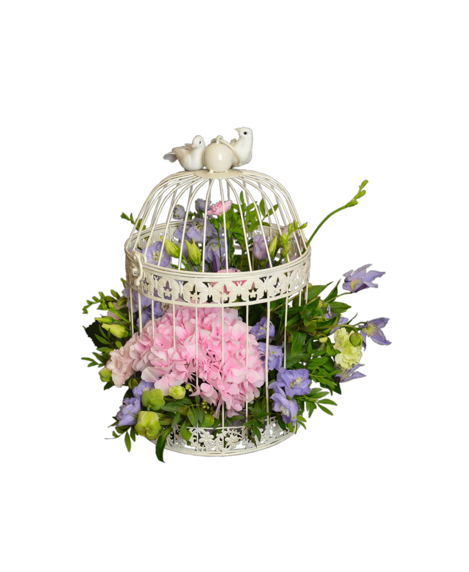 Blossoming cage - buy with delivery in Kiev - best prices for Flowers
