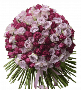 Букет Мілліон червоних троянд – Інтернет-магазин квітів STUDIO Flores