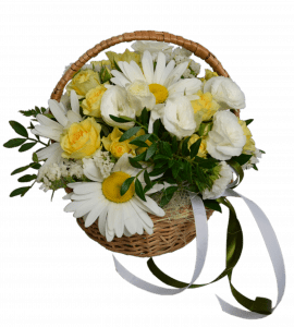 Basket with chamomiles