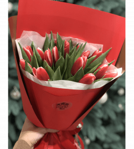 Bouquet of fifteen red tulips