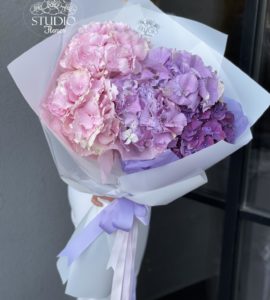 Букет пять гортензий – Интернет-магазин цветов STUDIO Flores