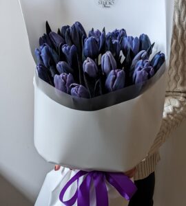 Bouquet of 25 purple tulips