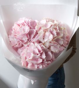 Букет три рожеві гортензії – Інтернет-магазин квітів STUDIO Flores