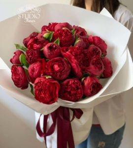 Bouquet of twenty-one burgundy peony – Flower shop STUDIO Flores