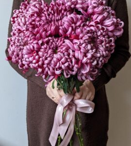 Bouquet of five burgundy chrysanthemums – Flower shop STUDIO Flores