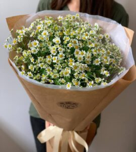 Bouquet of fifteen daisies