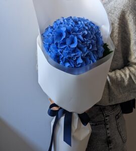 Букет одна синяя гортензия – Интернет-магазин цветов STUDIO Flores