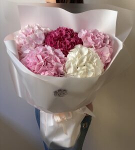 Bouquet of five white-pink hydrangeas