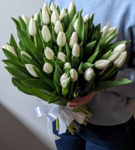 Bouquet of thirty-five white tulips under a ribbon