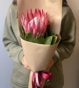 Compliment bouquet with red royal protea