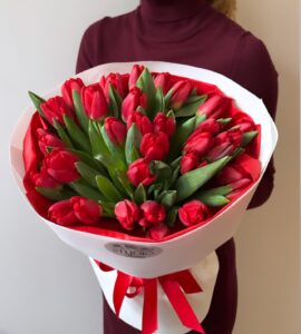 Bouquet of thirty-five red tulips