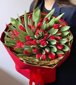 Bouquet of fifty-five red tulips