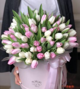 Bouquet of one hundred and one white and pink tulips in a box
