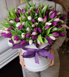 Bouquet of one hundred and one pink and purple tulips in a box