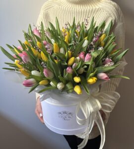 Bouquet of one hundred and one tulips with ginestra in a box