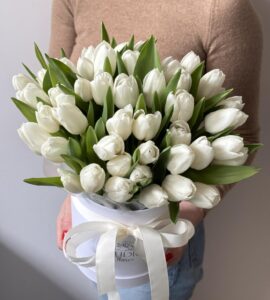Bouquet of fifty-one white tulips in a box