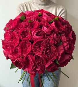 Bouquet of fifty-one red peony roses
