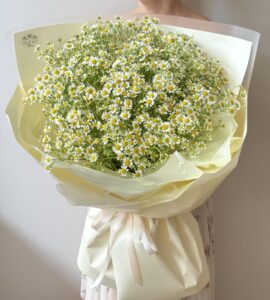 Bouquet of nineteen daisies