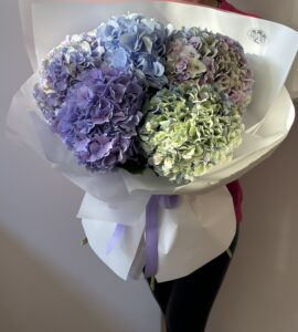 Bouquet of five blue hydrangeas mix