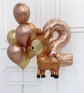 Helium Balloons Set of 26